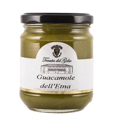 guacamole-dell-etna